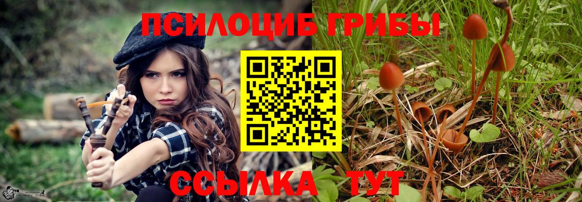 Галлюциногенные грибы Курган