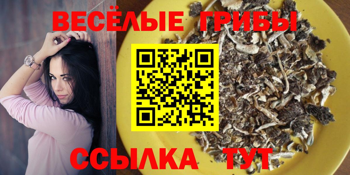 Псилоцибиновые грибы Magic Shrooms Курган